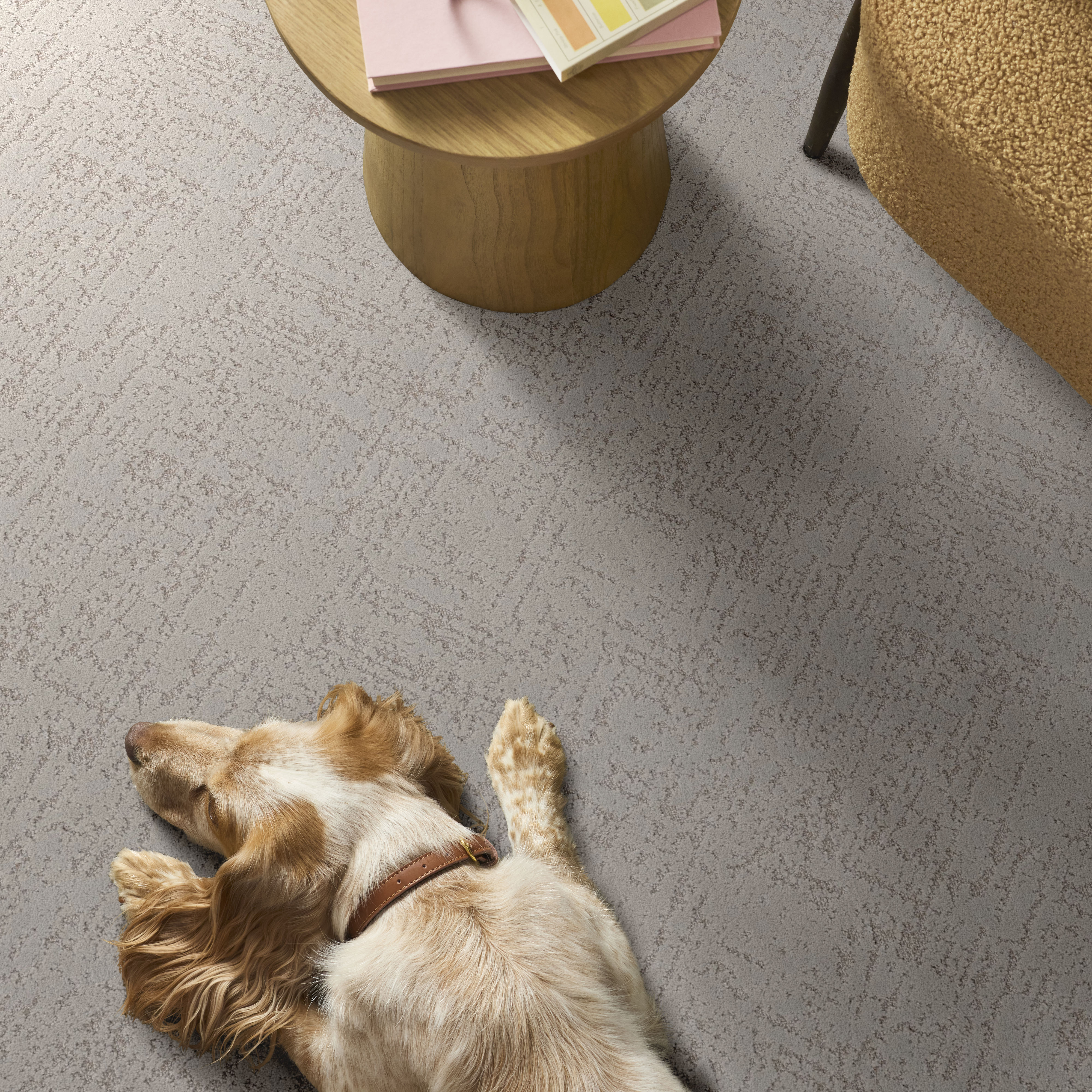 Sincere Focus - Plaster Carpet | Shaw Floors